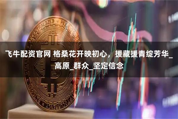 飞牛配资官网 格桑花开映初心，援藏援青绽芳华_高原_群众_坚定信念