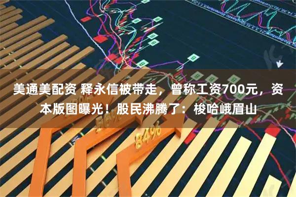 美通美配资 释永信被带走，曾称工资700元，资本版图曝光！股民沸腾了：梭哈峨眉山