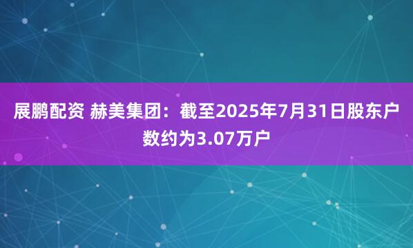 展鹏配资 赫美集团：截至2025年7月31日股东户数约为3.07万户