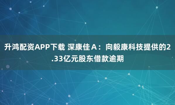 升鸿配资APP下载 深康佳A:向毅康科技提供的2.33亿元股东借款逾期